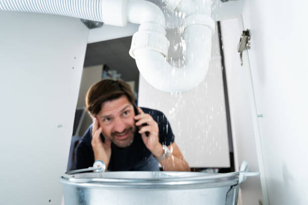 Best Plumbing Services Near Me  in Bardmoor, FL