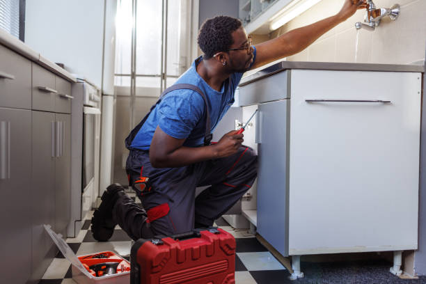 Best Residential Plumbing Services  in Bardmoor, FL